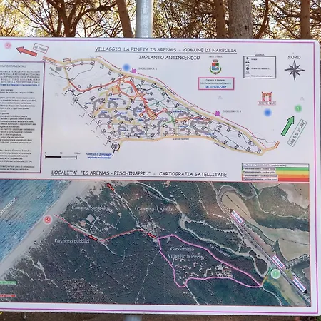 Pinna1 - In In Pineta - Iun R4823 * S'archittu Cuglieri