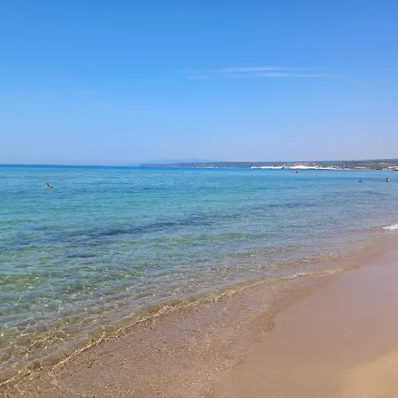 Pinna1 - In In Pineta - Iun R4823 * S'Archittu