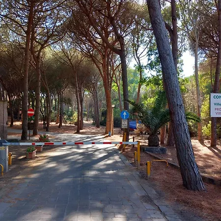 Pinna1 - In In Pineta - Iun R4823 Apartamento
